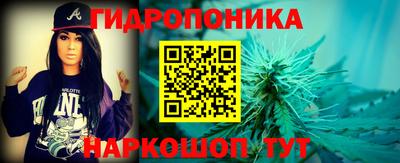apvp Гай